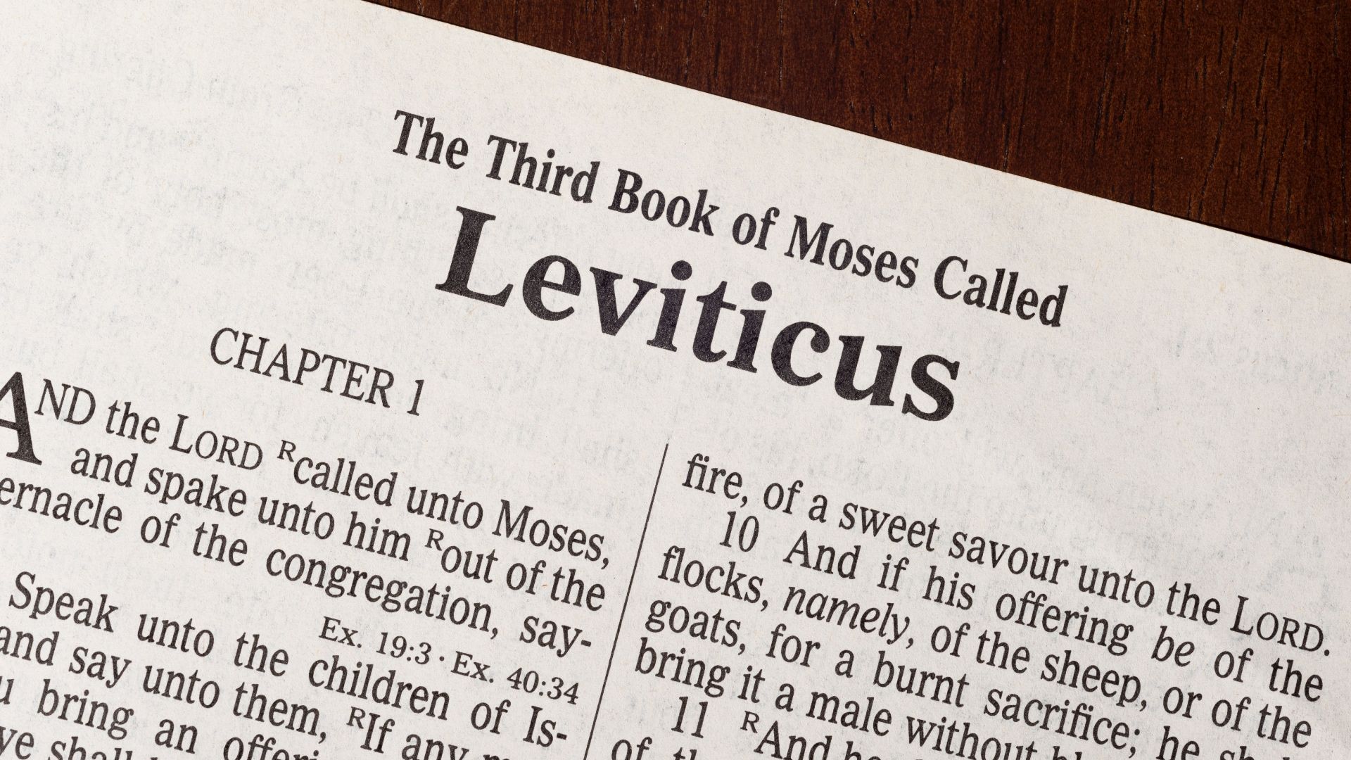Our Sacrificial Substitute (Leviticus)