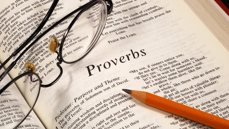 A Picture of Wisdom (Proverbs 31:10-31)