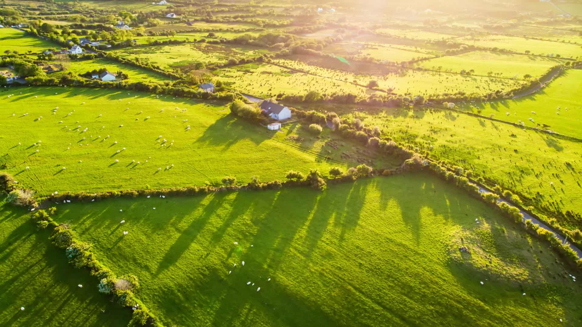 farm in Ireland
