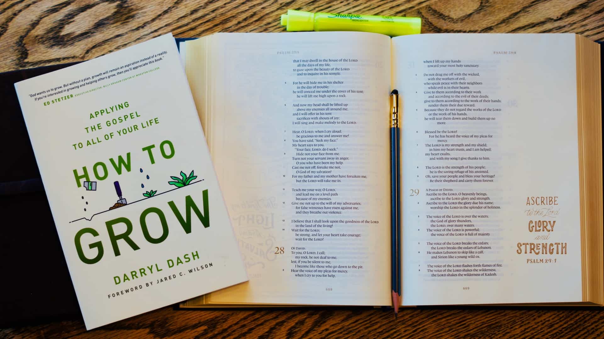 My Book “How to Grow” Is Now Available