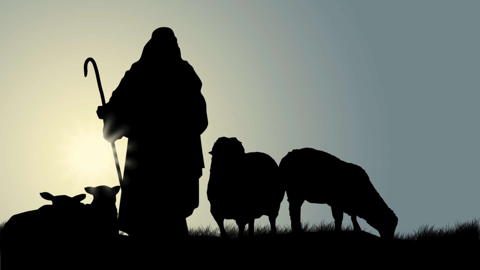 Shepherd the Flock of God That Is Among You